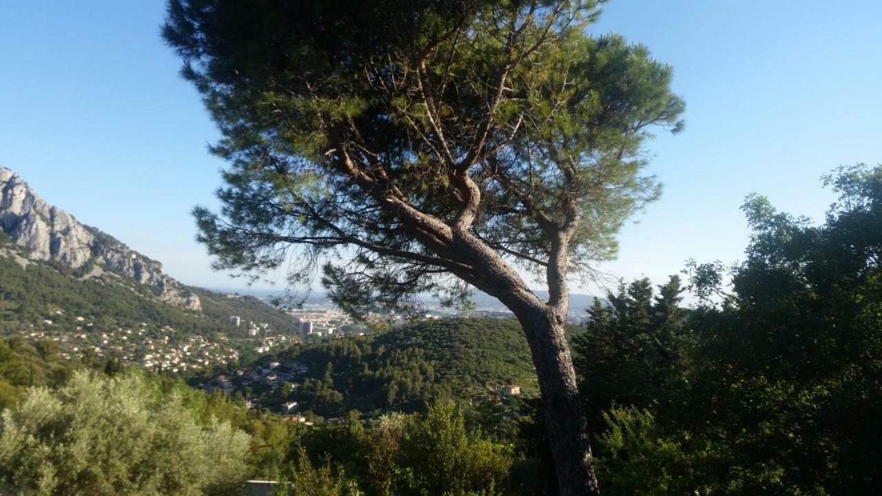 Le Revest-le-EauxBienvenue公寓 外观 照片